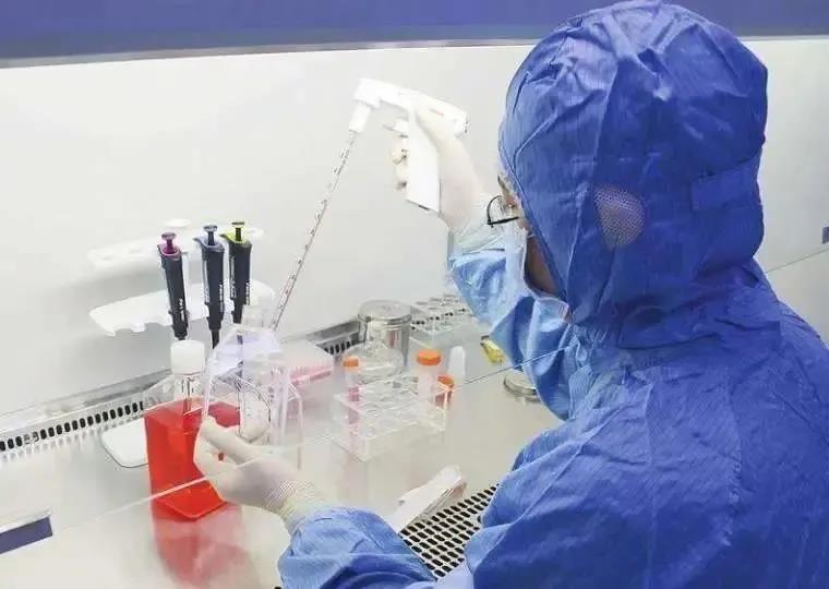  细胞培养实验室的环境设计